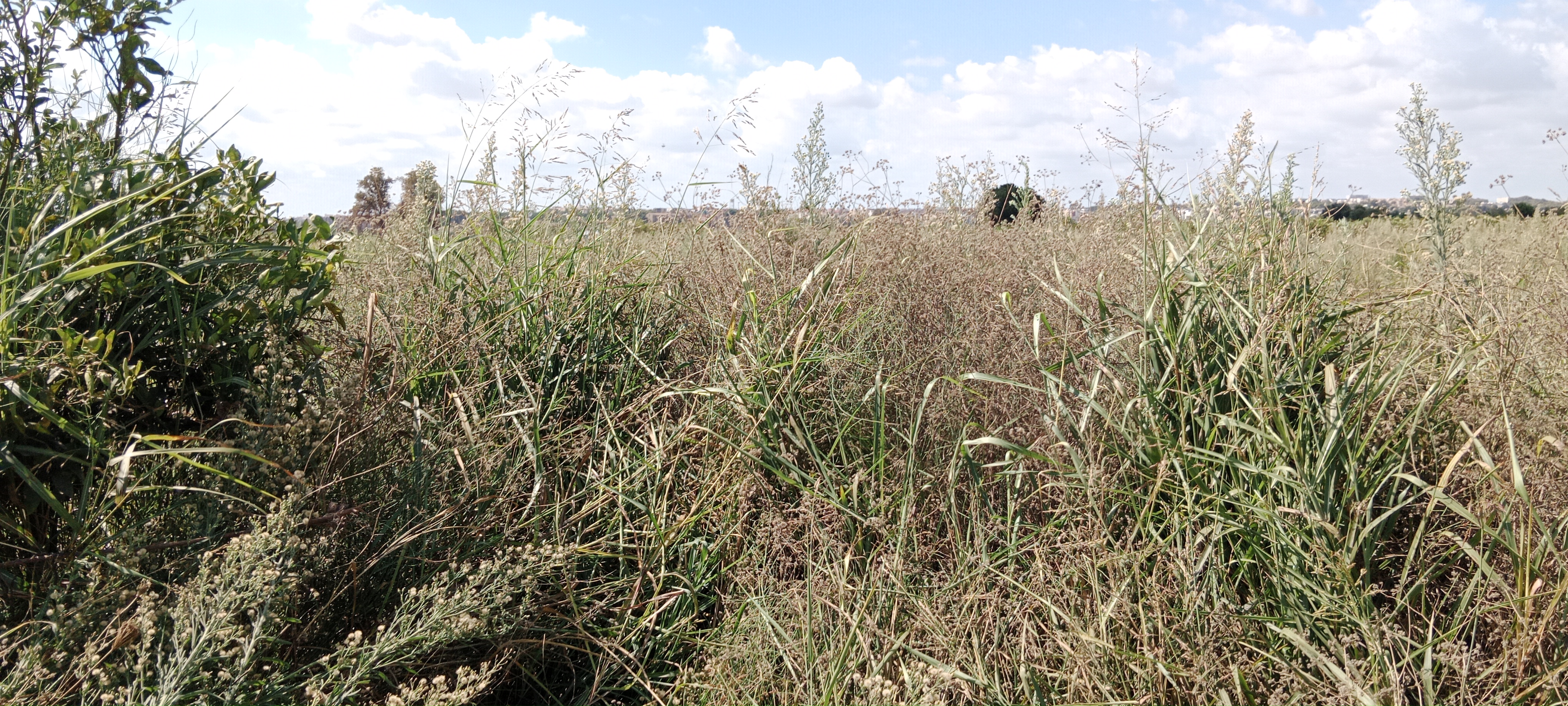 Biodiversidad